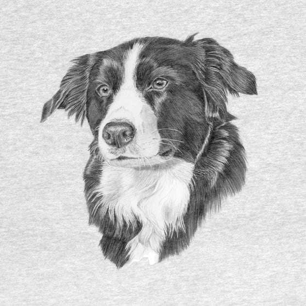 Border collie 1 by doggyshop